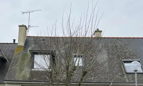 Toiture en ardoise couverte de mousses et de lichens, avant notre nettoyage